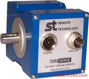 Torque sensor with small range